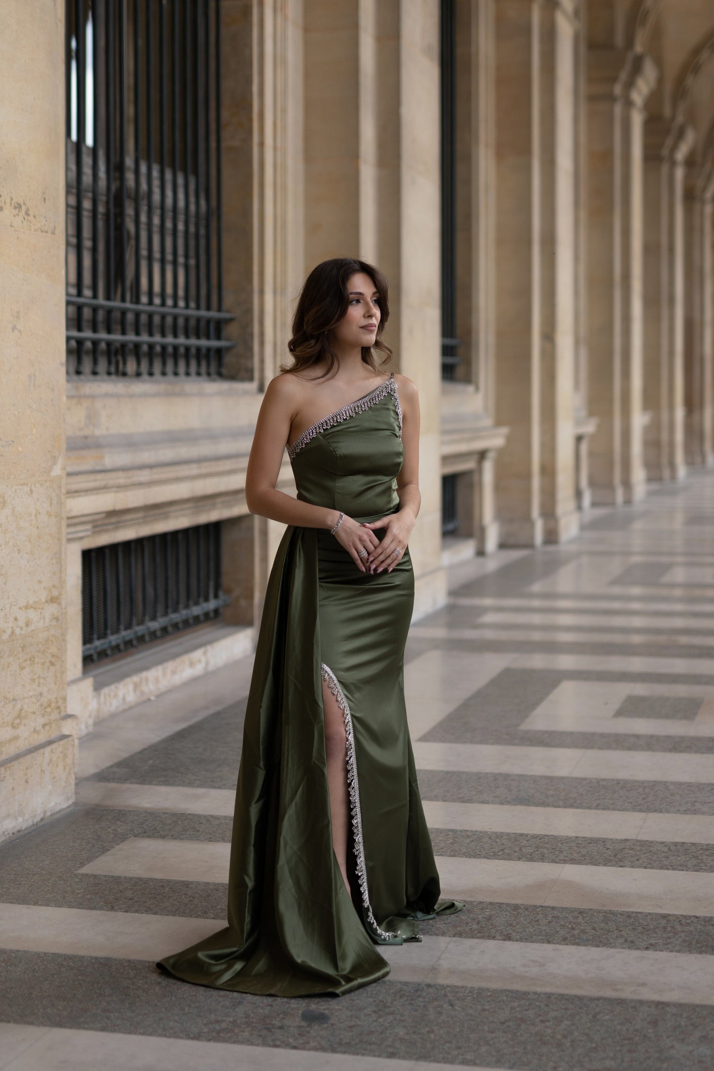KAKI & SILVER DRESS