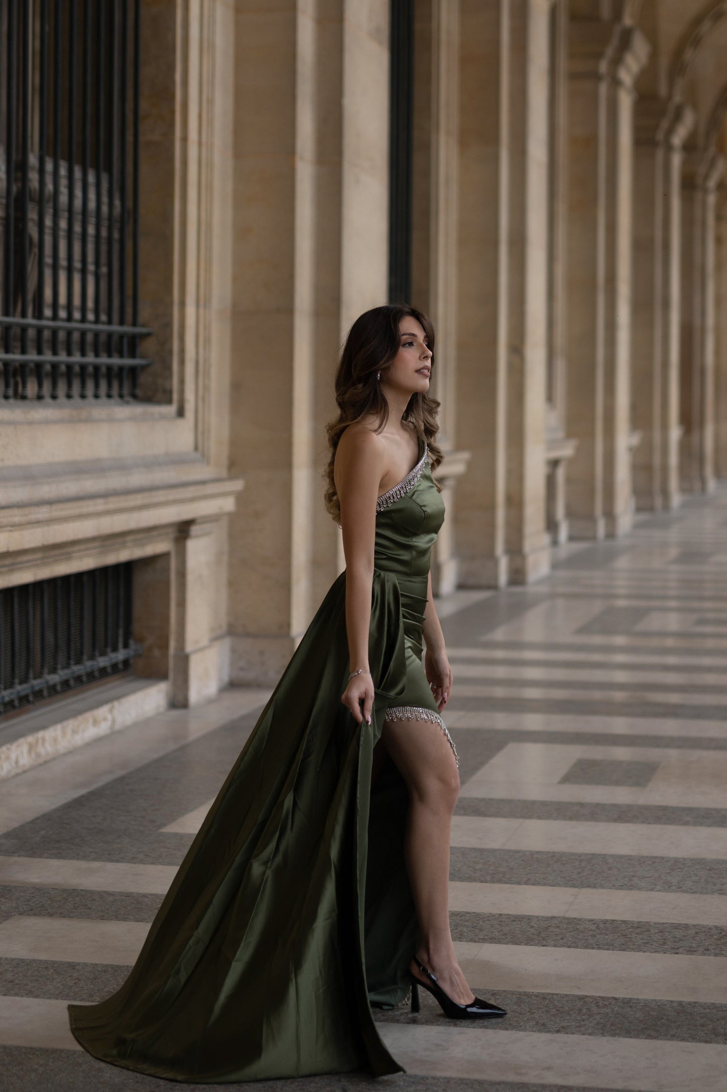 KAKI & SILVER DRESS